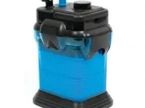 Photo of The Best Canister Filter for Turtle Tanks