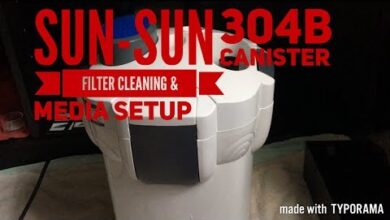 Photo of SunSun HW-304 External Filter | Review + Opinions