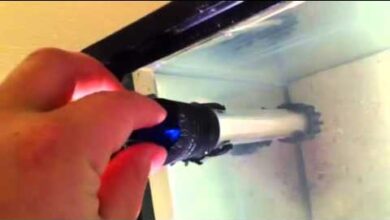 Photo of Aqueon Heater for aquariums and fish tanks