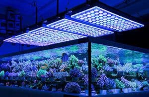 Photo of Aquarium LED Lamps