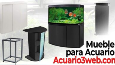 Photo of Furniture for Aquarium and Fish Tank